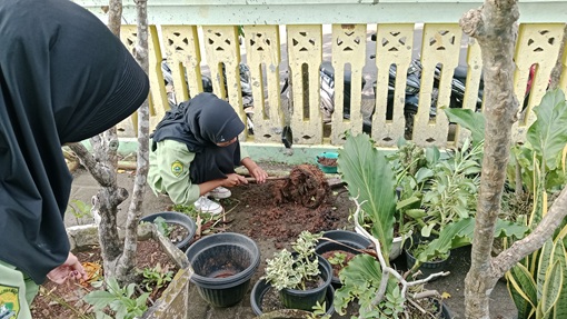 Berita Terbaru